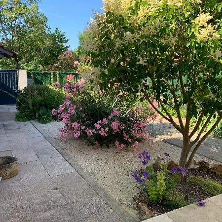 Petite Maison Pres Du Centre LʼIsle-sur-la-Sorgue Exteriér fotografie