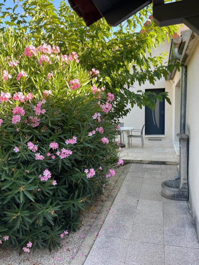 Petite Maison Pres Du Centre LʼIsle-sur-la-Sorgue Exteriér fotografie